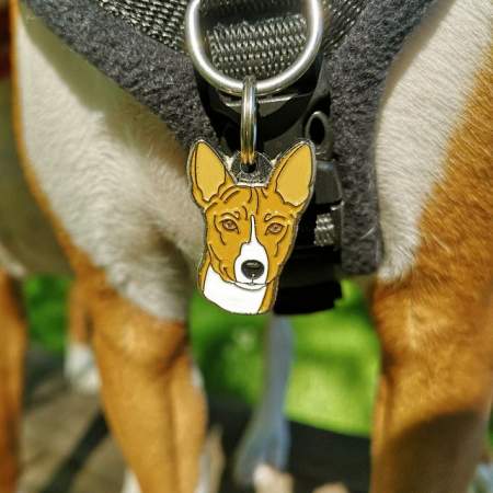 Ibasenji en.jpg